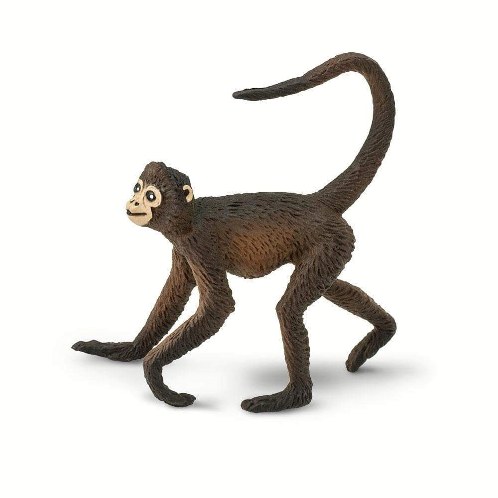 Safari Ltd. - Spider Monkey Kids Toy Figure