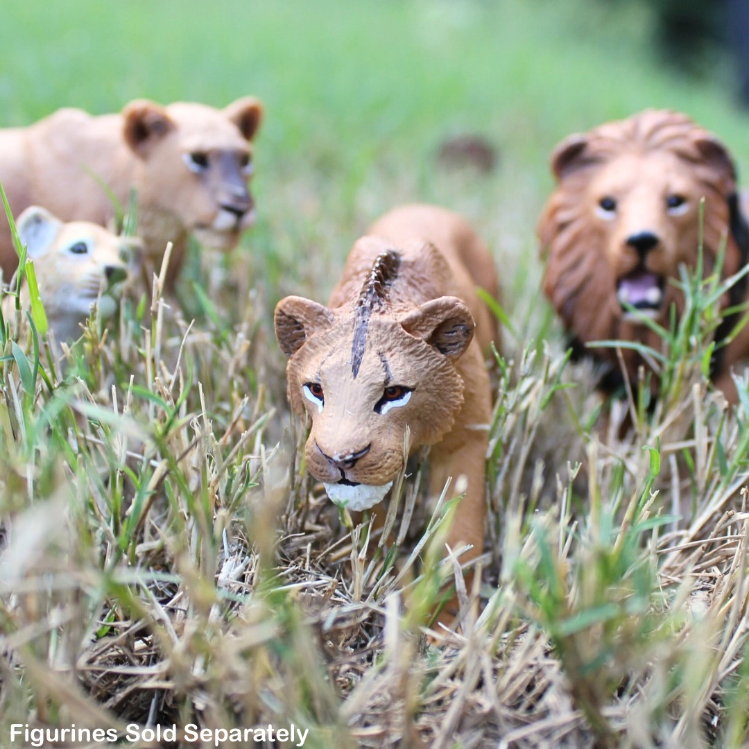 Safari Ltd. - Adolescent Male Lion Kids Toy Figure