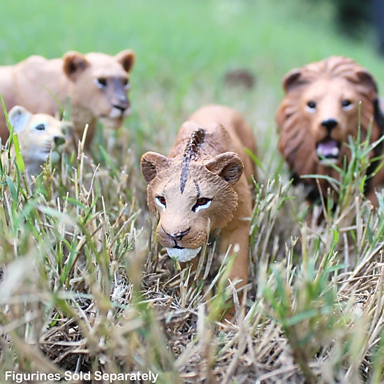 Safari Ltd. - Adolescent Male Lion Kids Toy Figure