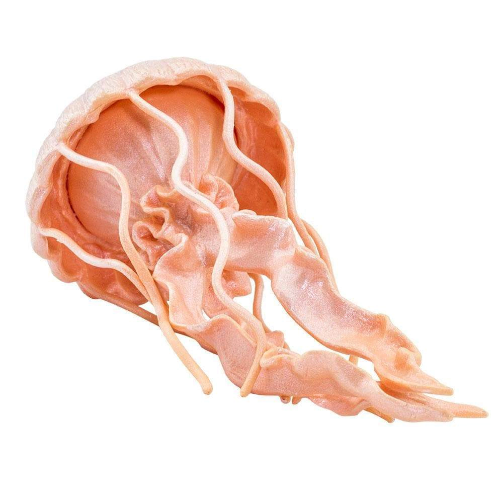 Safari Ltd. - Jellyfish Kids Toy Figure