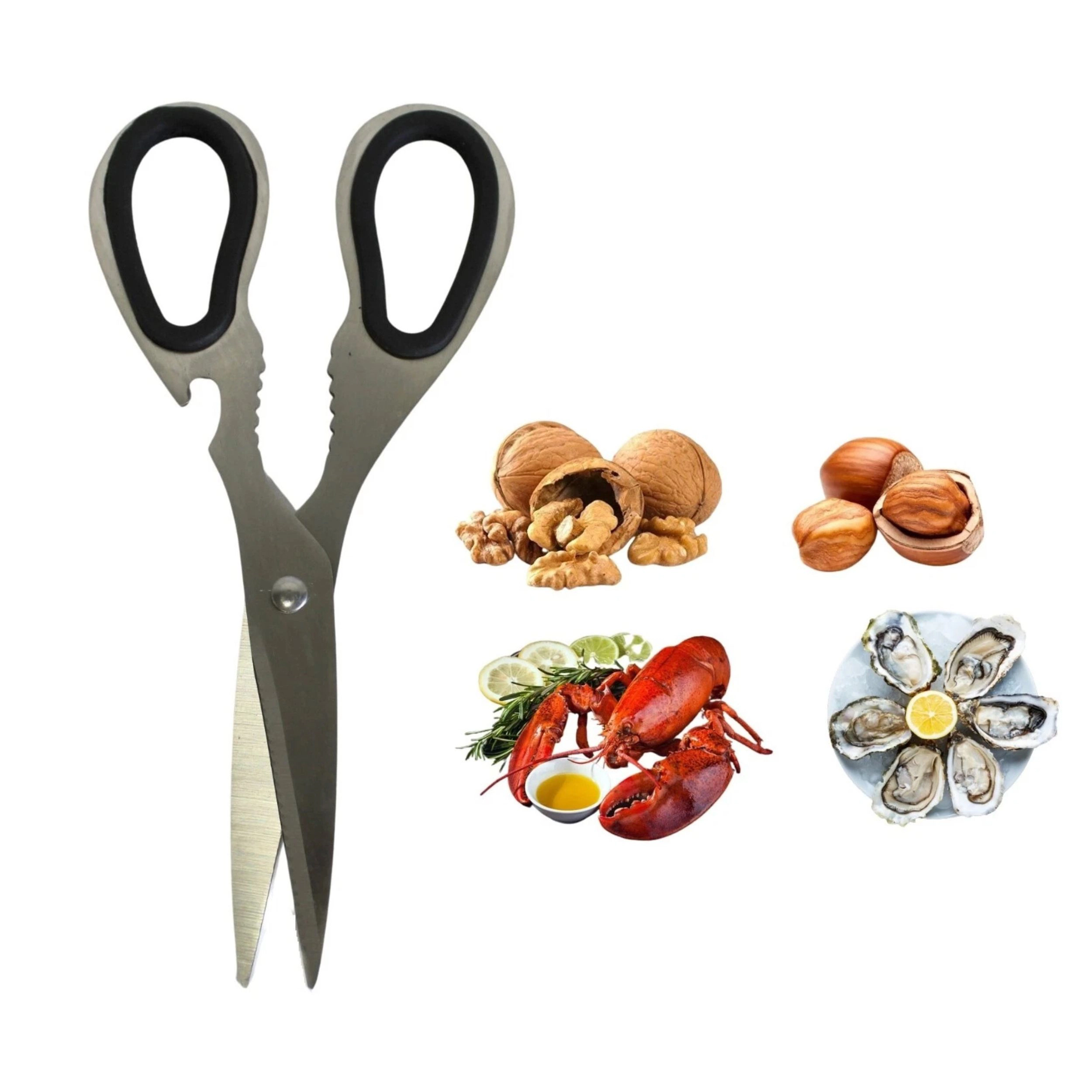Home Collection Stainless Steel Multi-Purpose Kitchen Shears