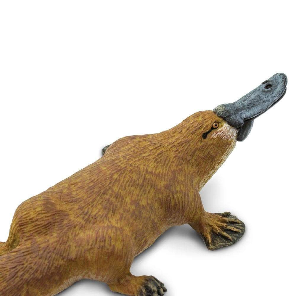 Safari Ltd. - Platypus Kids Toy Figure