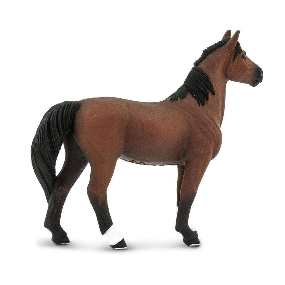 Safari Ltd. - Morgan Stallion Kids Toy Figure