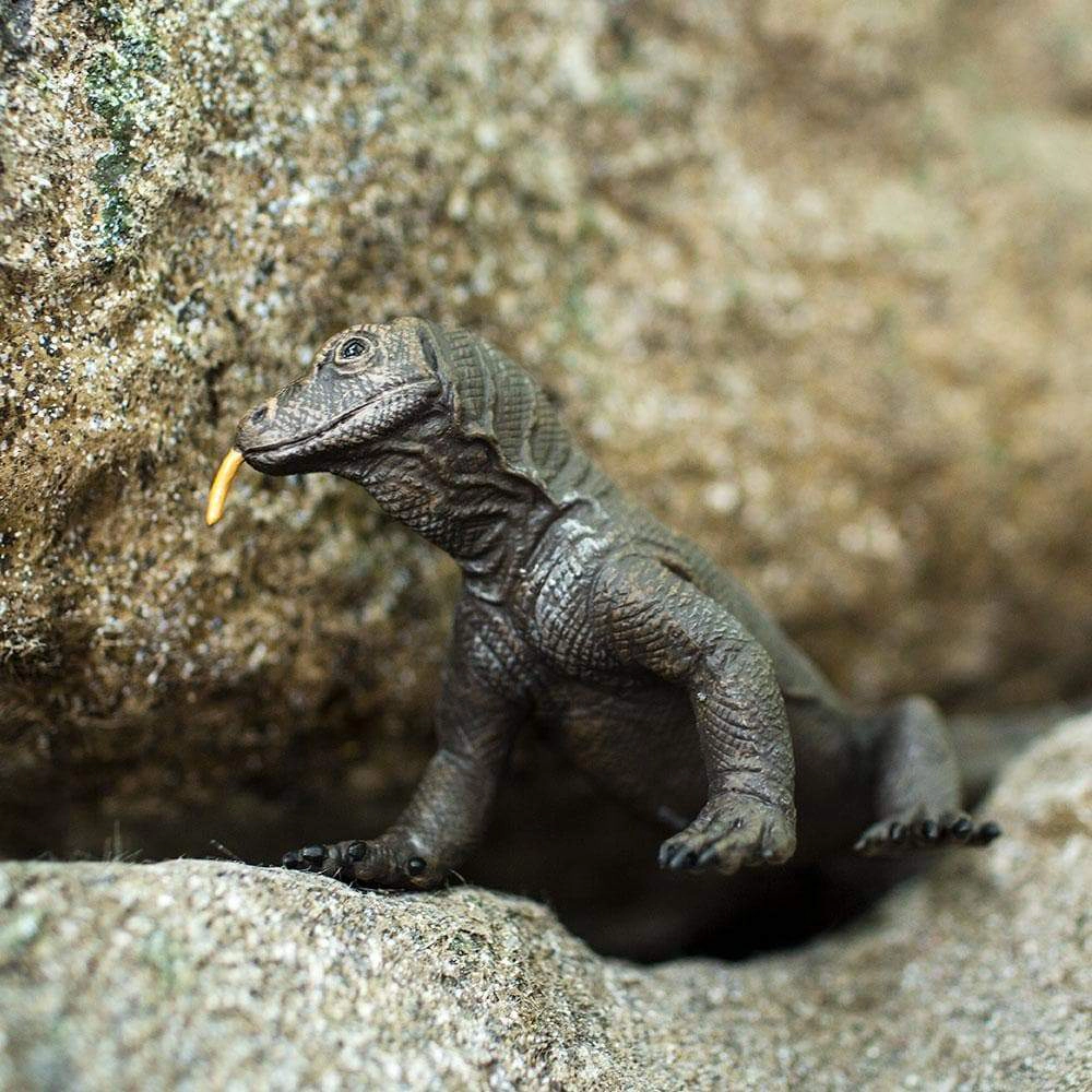Safari Ltd. - Komodo Dragon Kids Toy Figure