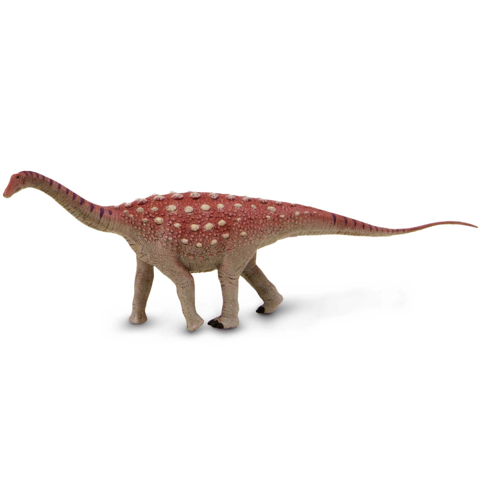 Safari Ltd. - Saltasaurus Kids Prehistoric/Dinosaur Toy Figure