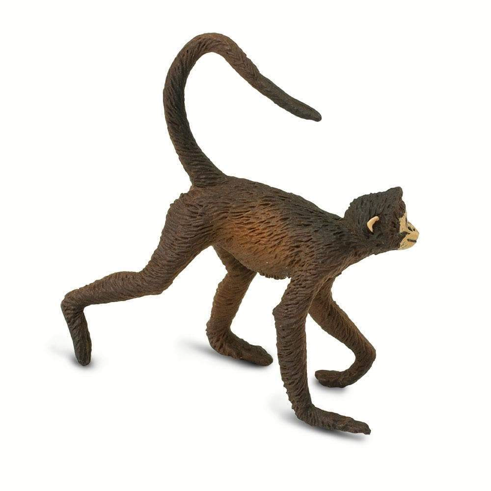 Safari Ltd. - Spider Monkey Kids Toy Figure