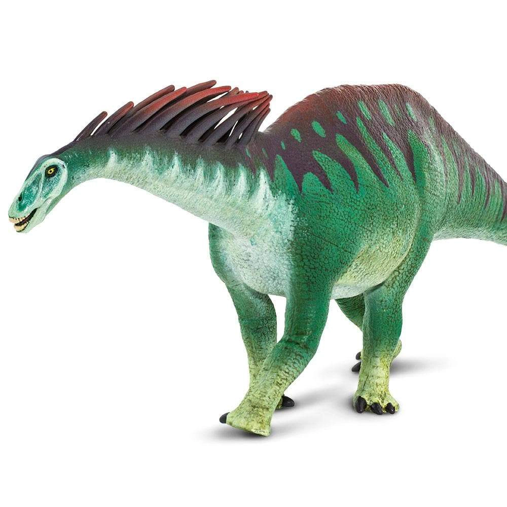 Safari Ltd. - Amargasaurus Kids Prehistoric/Dinosaur Toy Figure