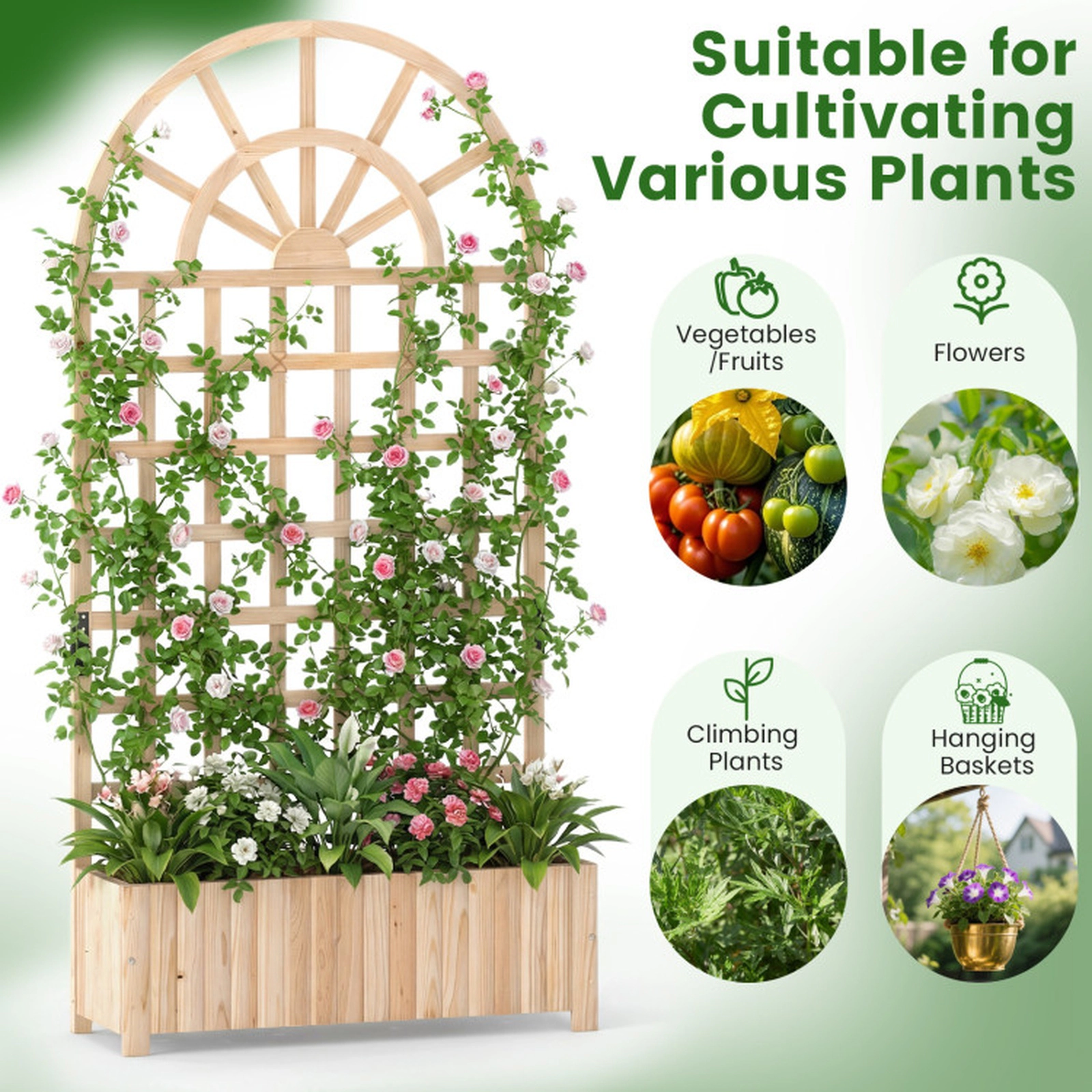 SUGIFT Natural Wood Raised Garden Bed with 71-in Lattice Trellis Privacy Screen 36-in W 12-in D 88-lb Box Capacity