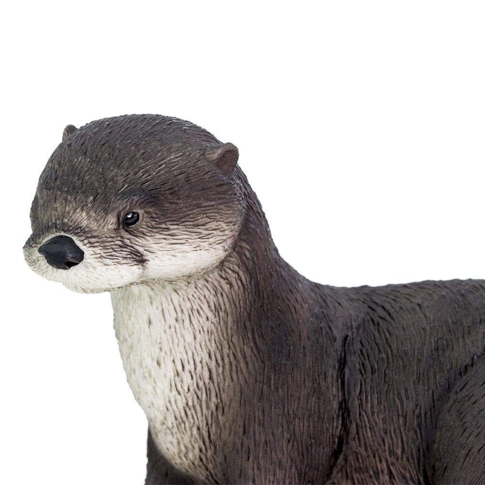 Safari Ltd. - River Otter Kids Toy Figure
