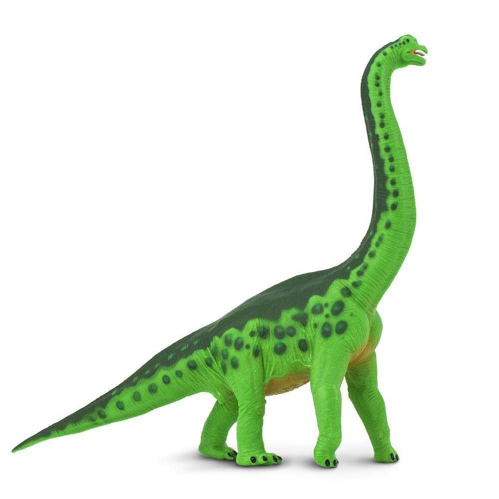 Safari Ltd. - Brachiosaurus Kids Prehistoric/Dinosaur Toy Figure