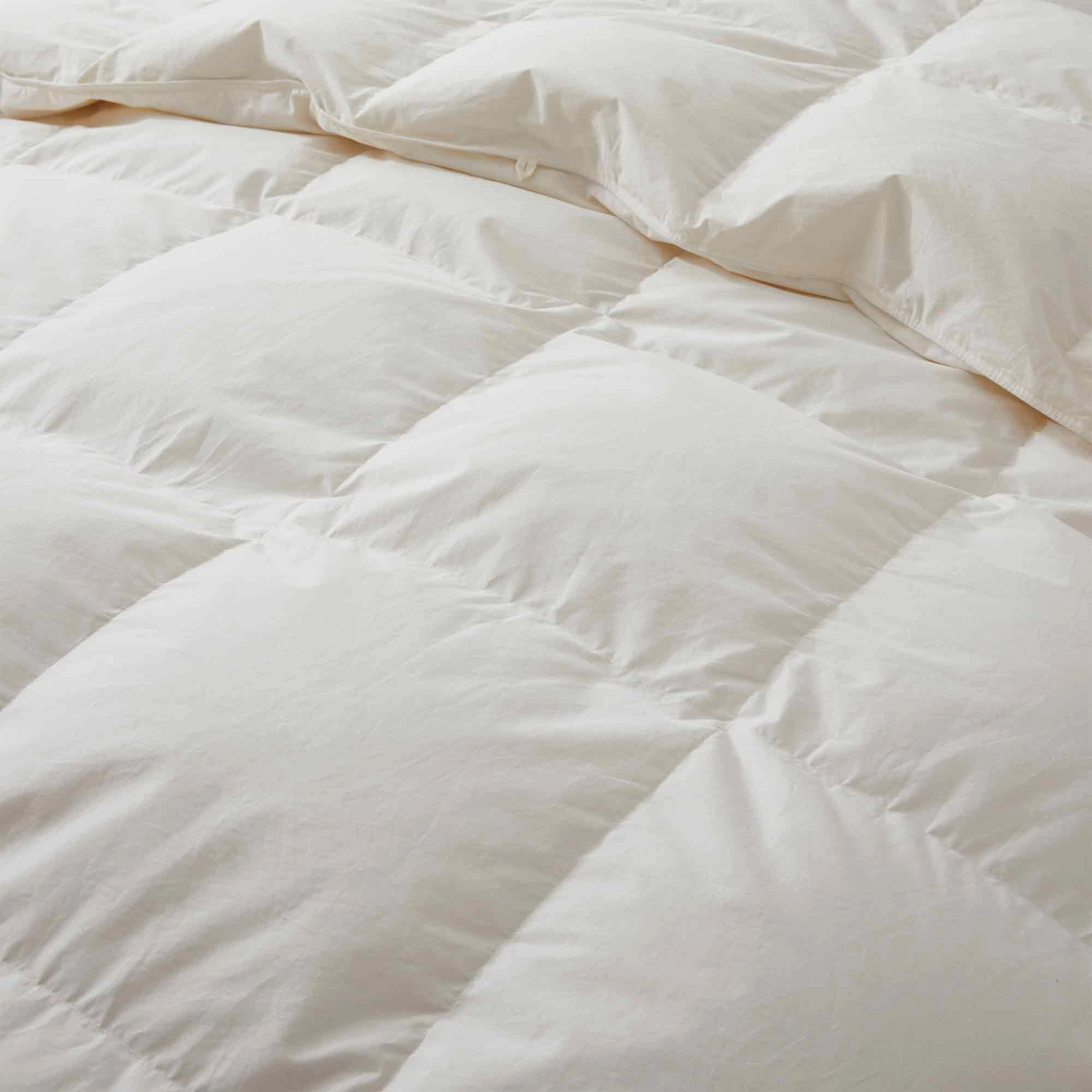 Puredown Selected All Season Down Comforter with 100% Organic Cotton Shell