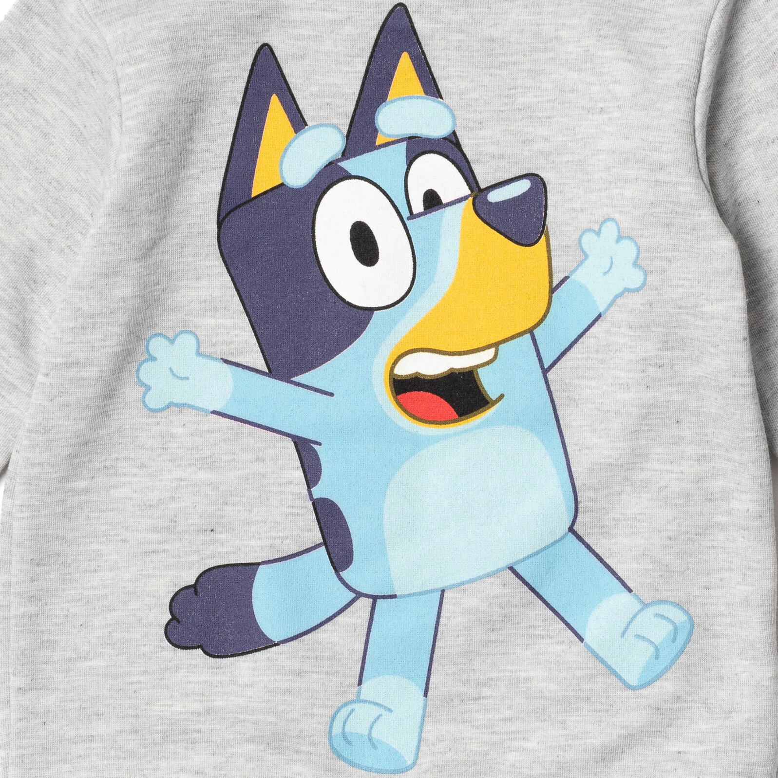 Bluey Little Kids' Boy or Girl Fleece 2-Piece Sweatshirt and Pants Set