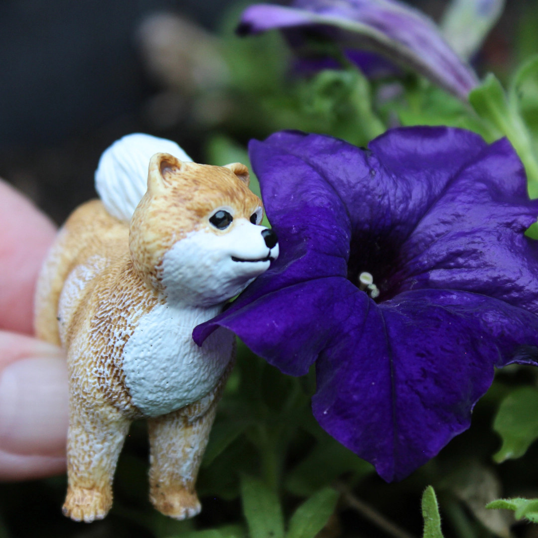 Safari Ltd. - Pomeranian Kids Toy Figure
