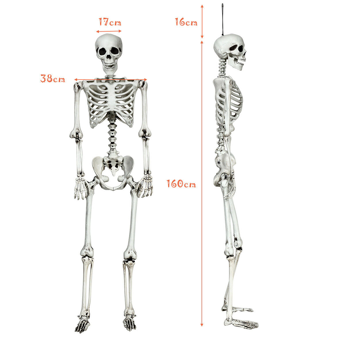 SUGIFT 5.4-ft Poseable Joints Hanging Rope Full Body Life Size Halloween Skeleton Prop Decoration 4-lb White
