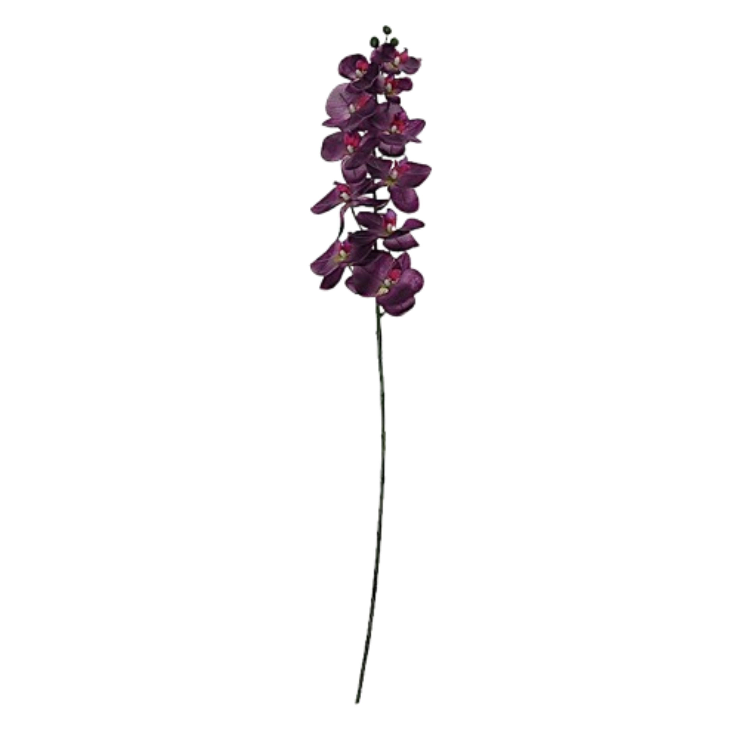 Home Collection Set of 2 40-Inch Artificial Silk Orchid Flower Spray Stems