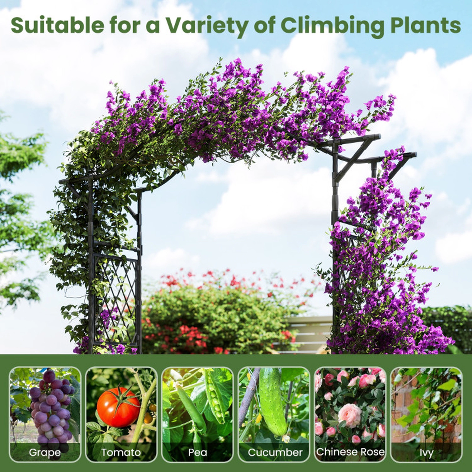 SUGIFT 83-in Black PE-Coated Metal Garden Arch Trellis Pergola with Textured Tubes and Lattice Sides