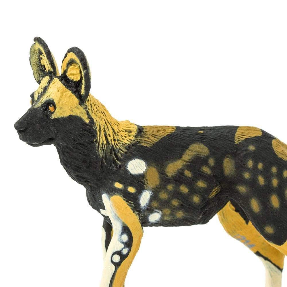 Safari Ltd. - African Wild Dog Kids Toy Figure