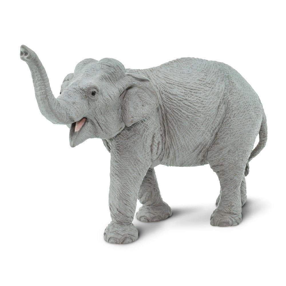 Safari Ltd. - Asian Elephant Kids Toy Figure