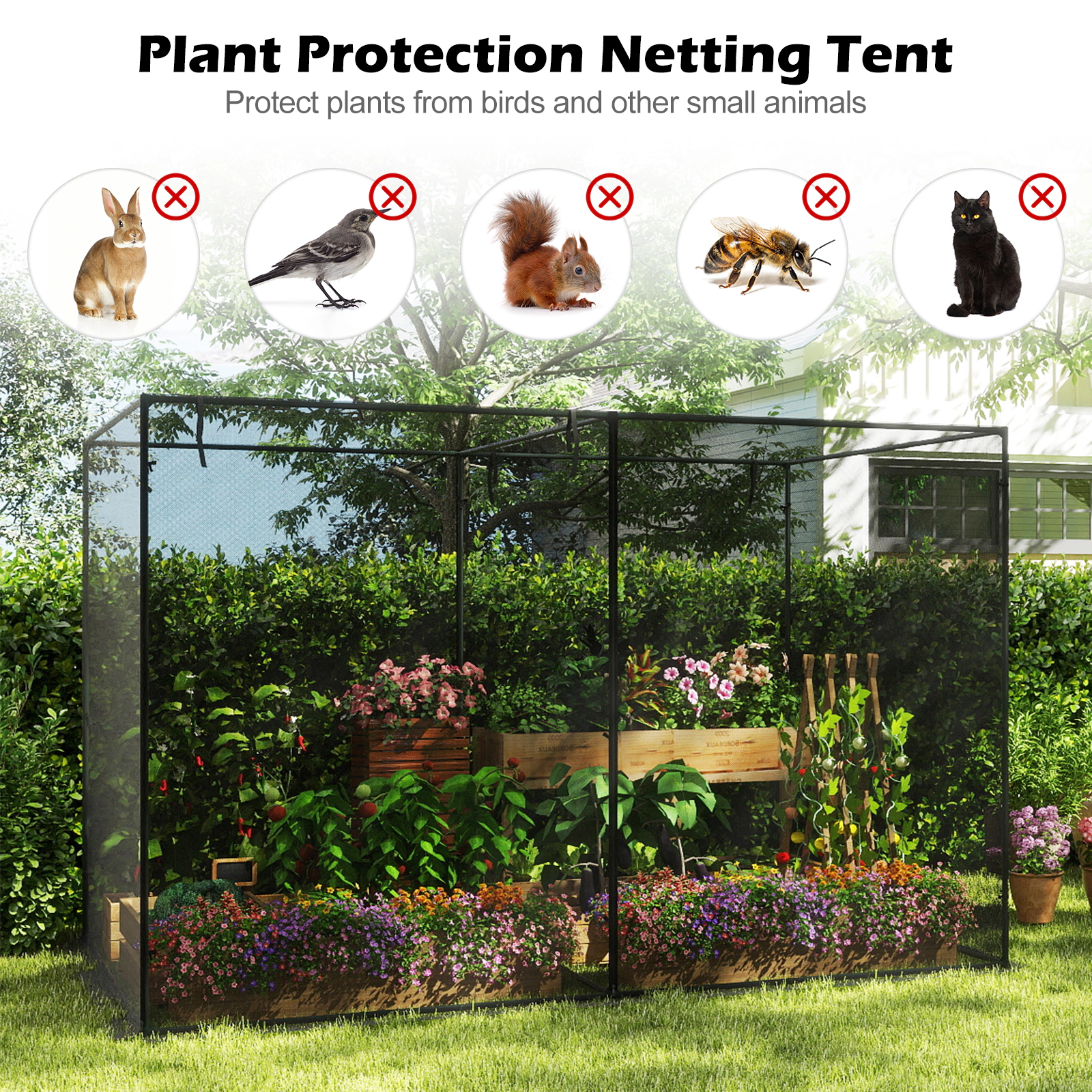 LJG Crop Cages with 6 Ground Nails for Garden Plant