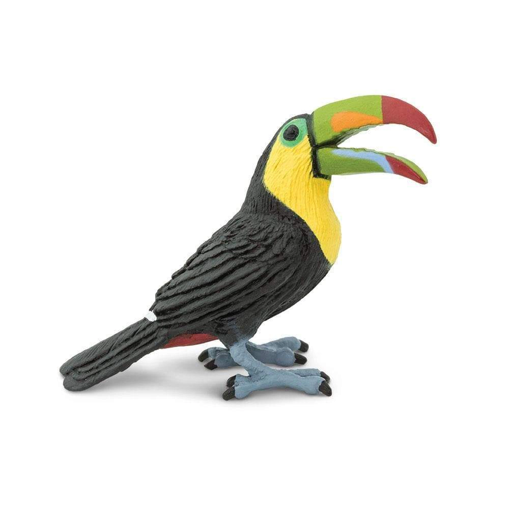 Safari Ltd. - Toucan Kids Toy Figure