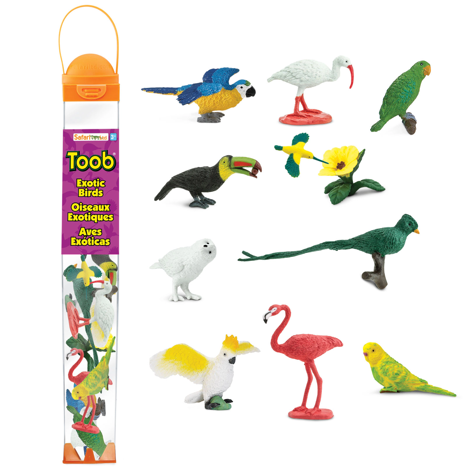 Safari Ltd. - Exotic Birds TOOB - contains 10 Mini Figurines