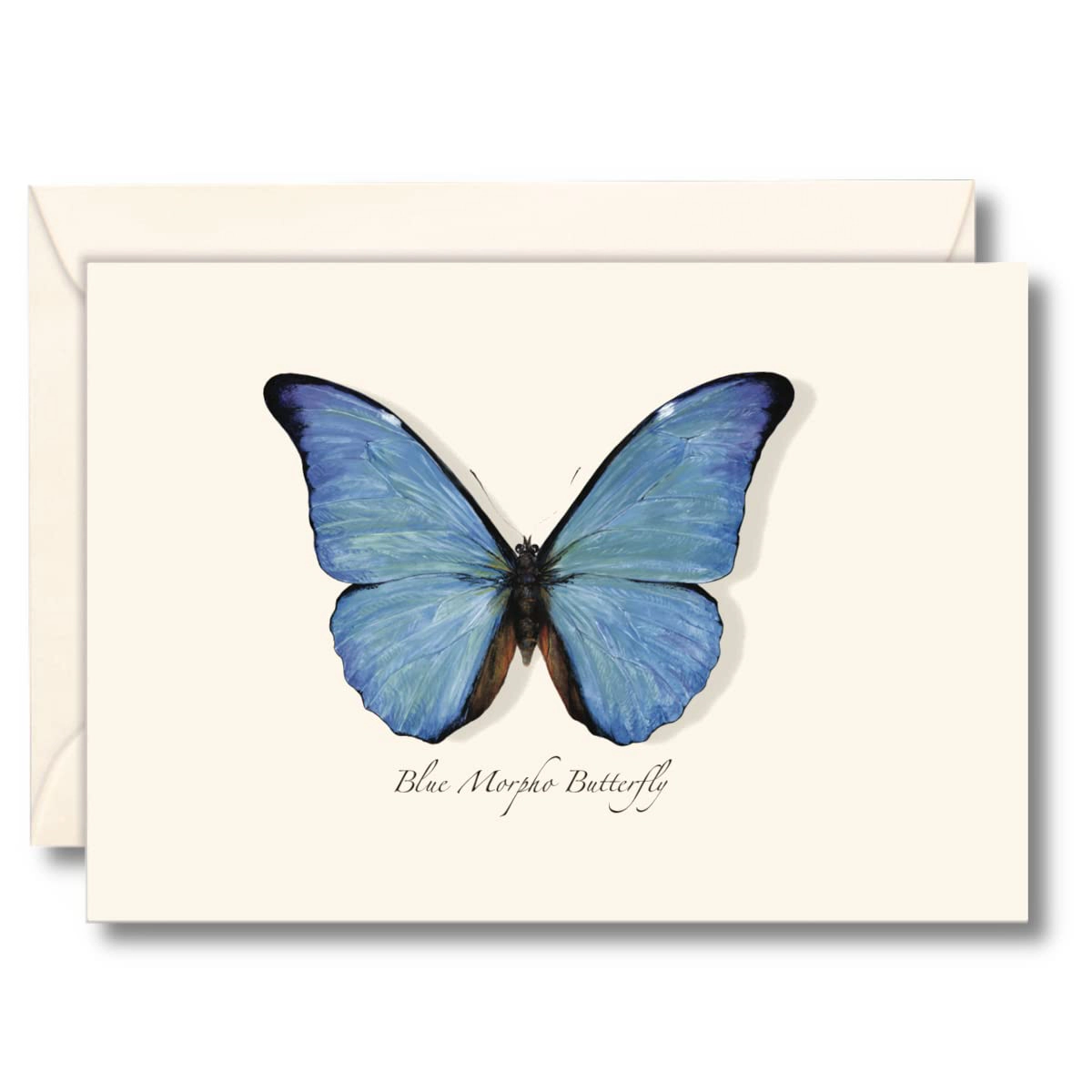 Earth Sky + Water Blue Morpho Butterfly Notecard Set - 8 Blank Recycled Paper Cards with Envelopes