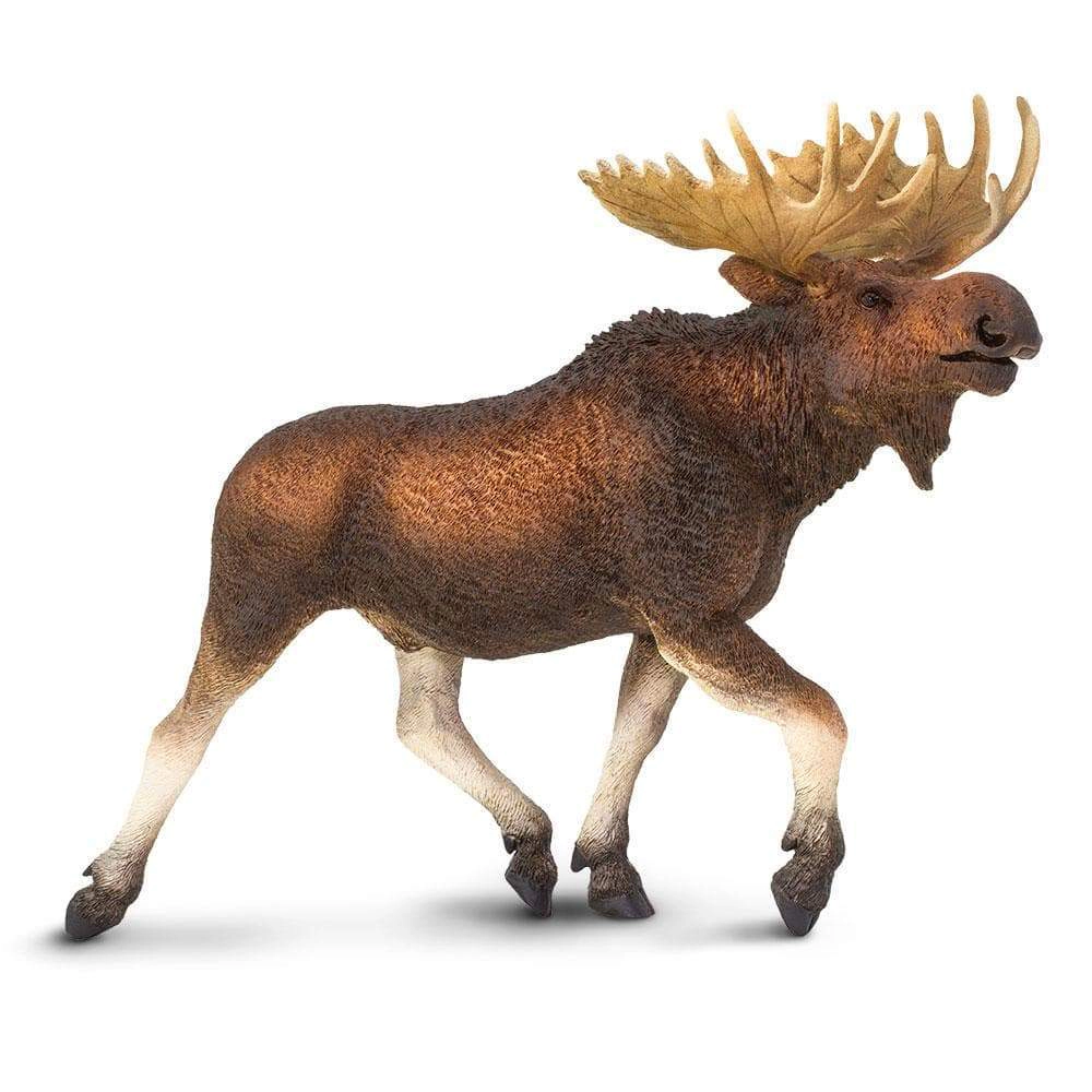 Safari Ltd. - Moose Kids Toy Figure