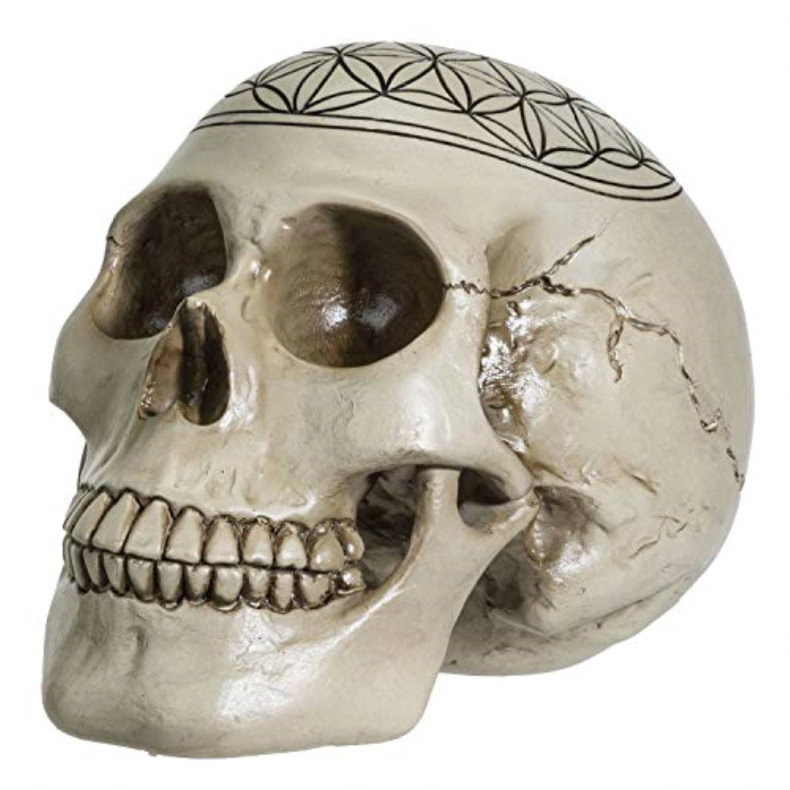 Pacific Giftware Sacred Geometry Flower of Life Human Skull Figurine 6.25 inches