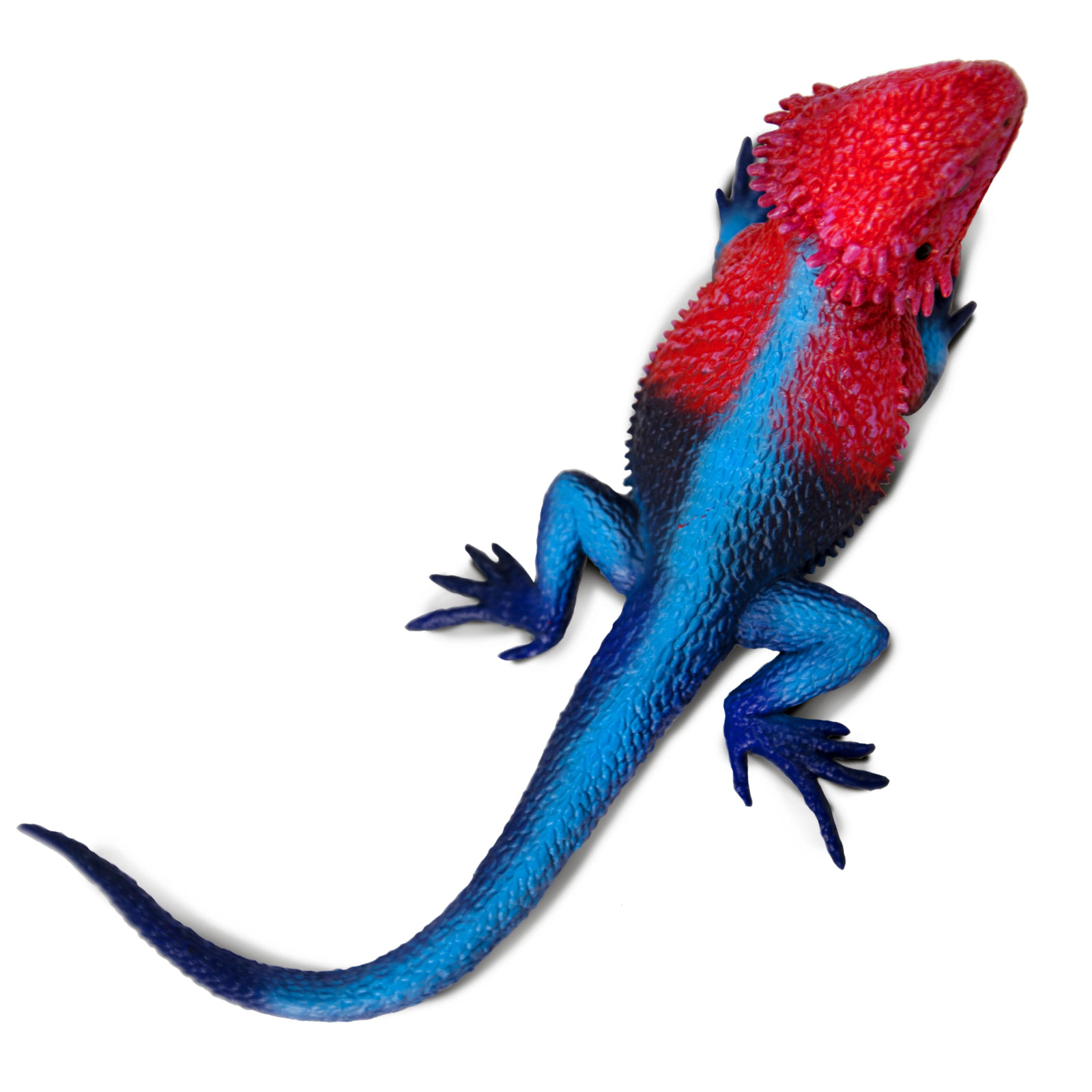 Safari Ltd. - Mwanza Flat-Headed Rock Agama Kids Toy Figure