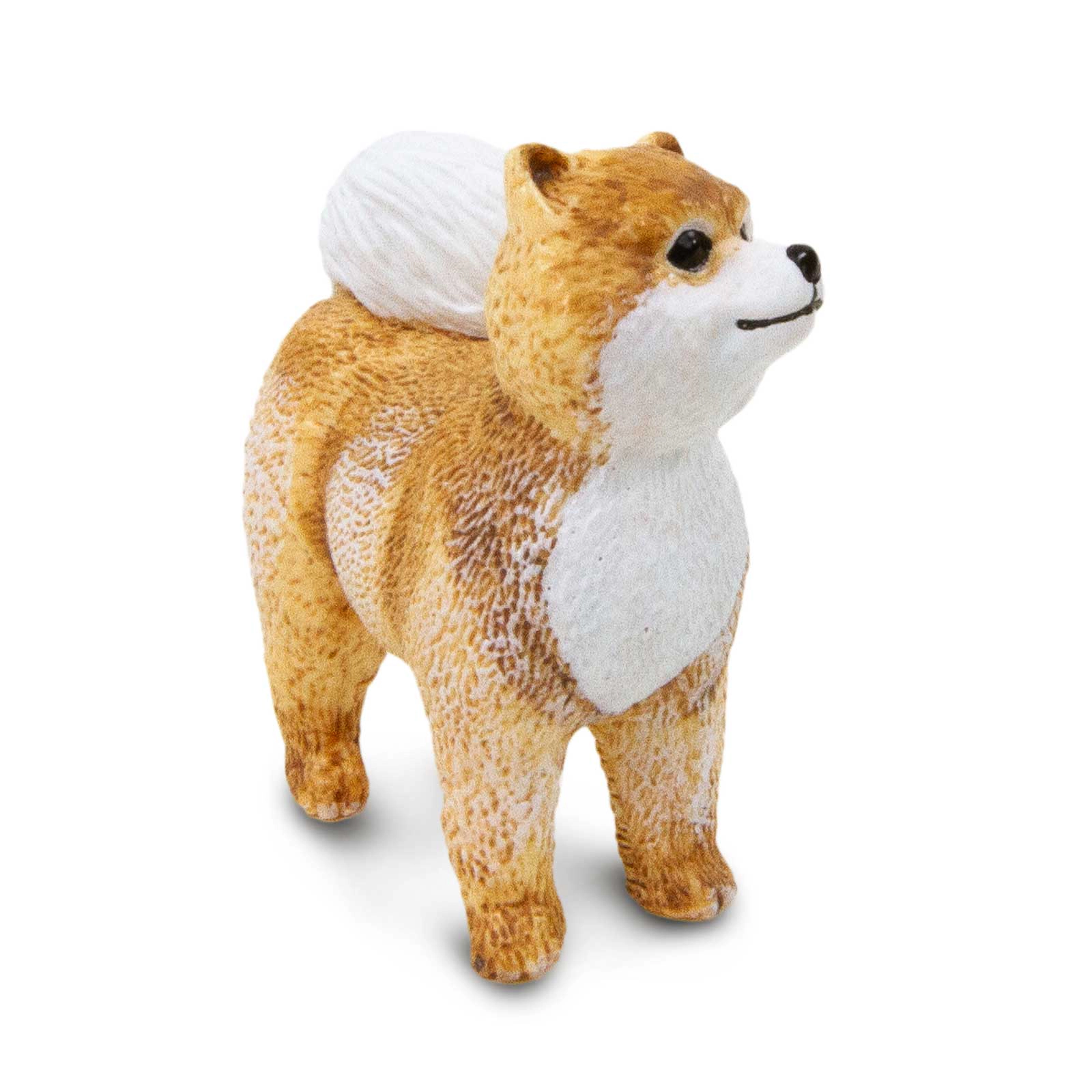 Safari Ltd. - Pomeranian Kids Toy Figure