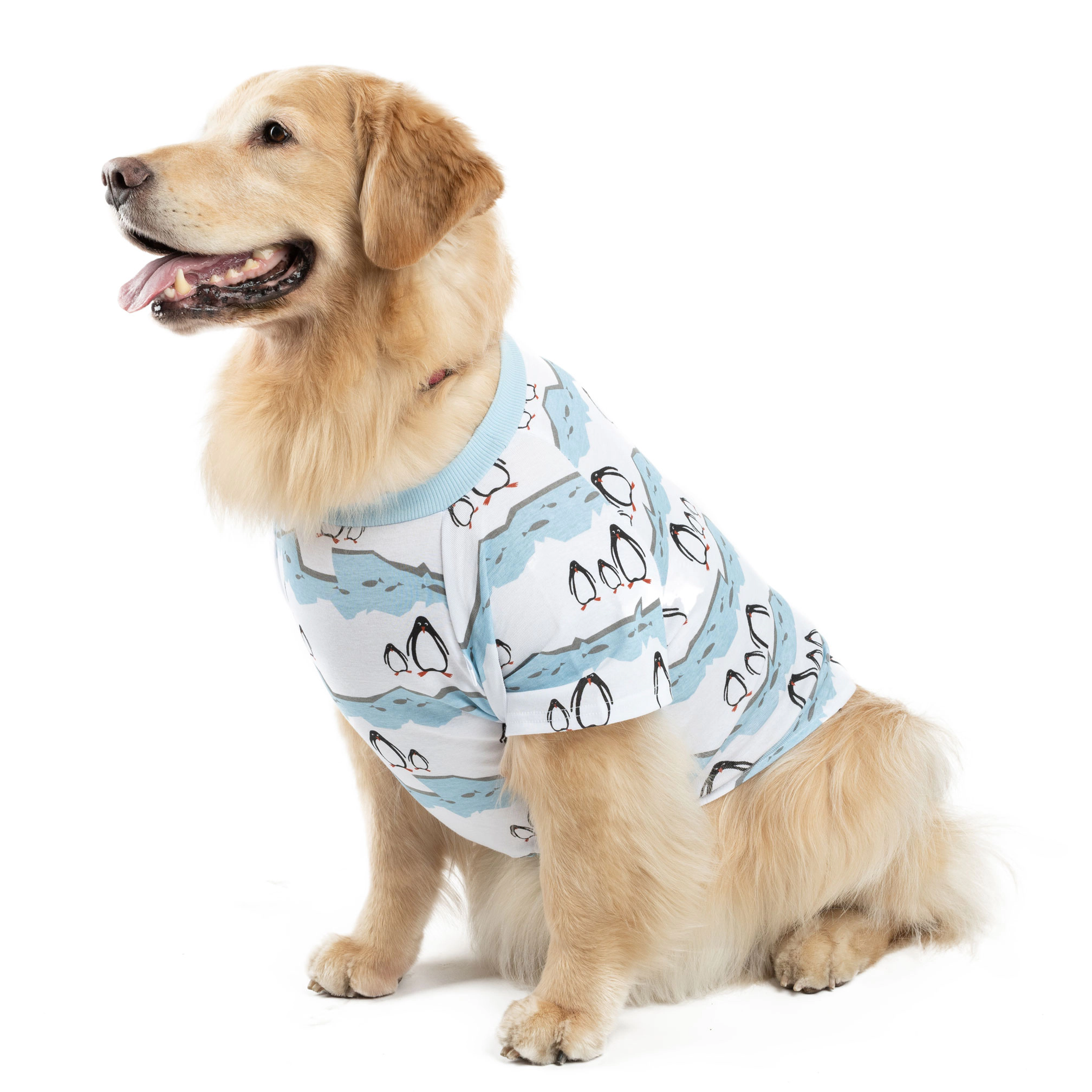 Leveret Big Dog Holiday Print Cotton Pajamas