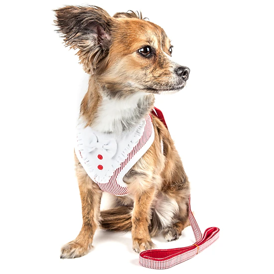 Pet Life ® Luxe 'Spawling' 2-In-1 Mesh Reversed Adjustable Dog Harness-Leash W/ Fashion Bowtie