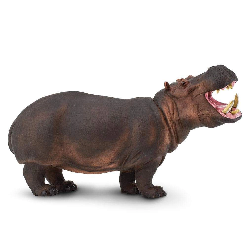 Safari Ltd. - Hippopotamus Kids Toy Figure