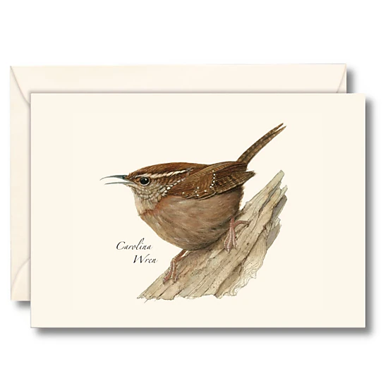Earth Sky + Water Carolina Wren Notecard Set - 8 Blank Recycled Paper Cards with Envelopes