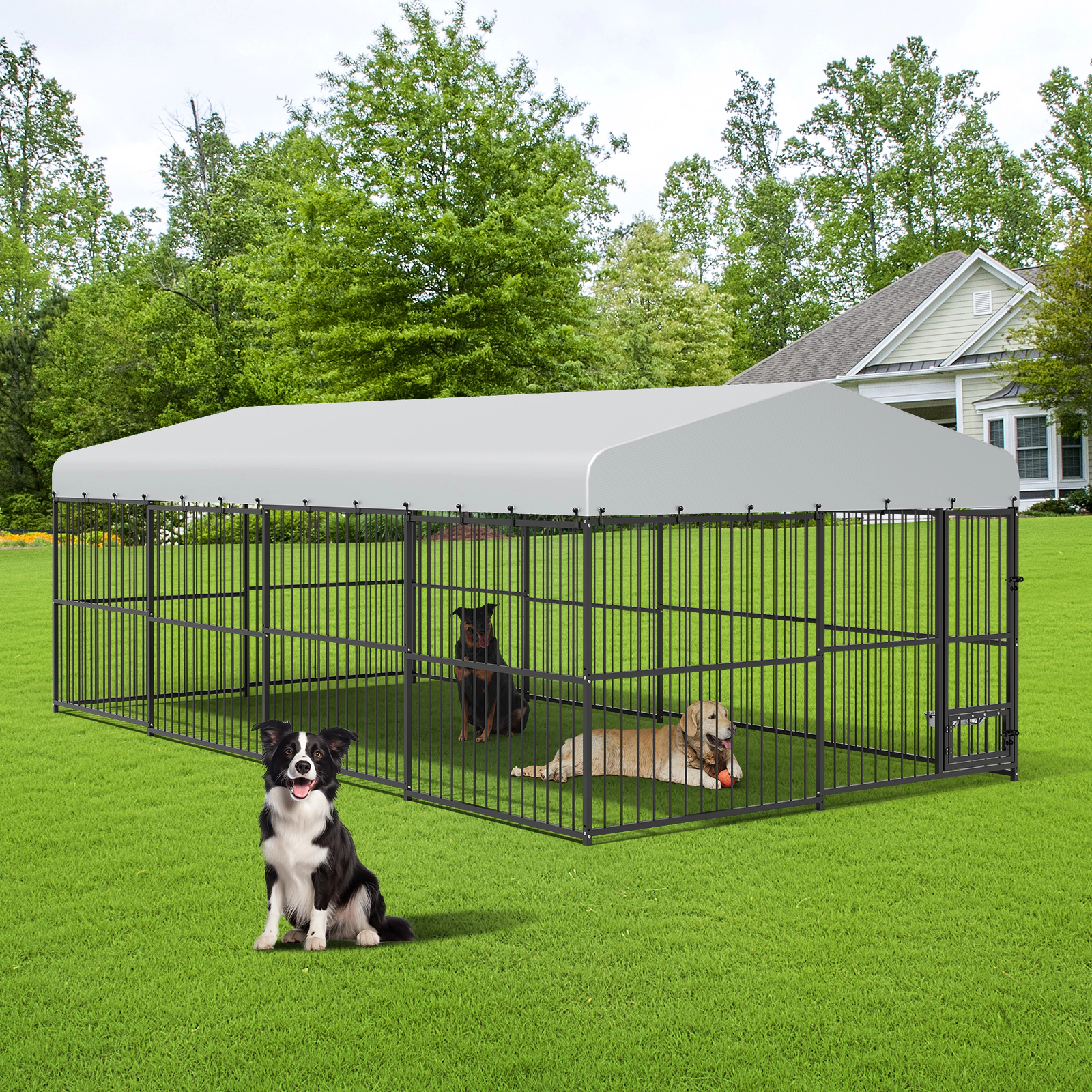 Heavy Duty Outdoor Dog Kennel for Large Dogs
