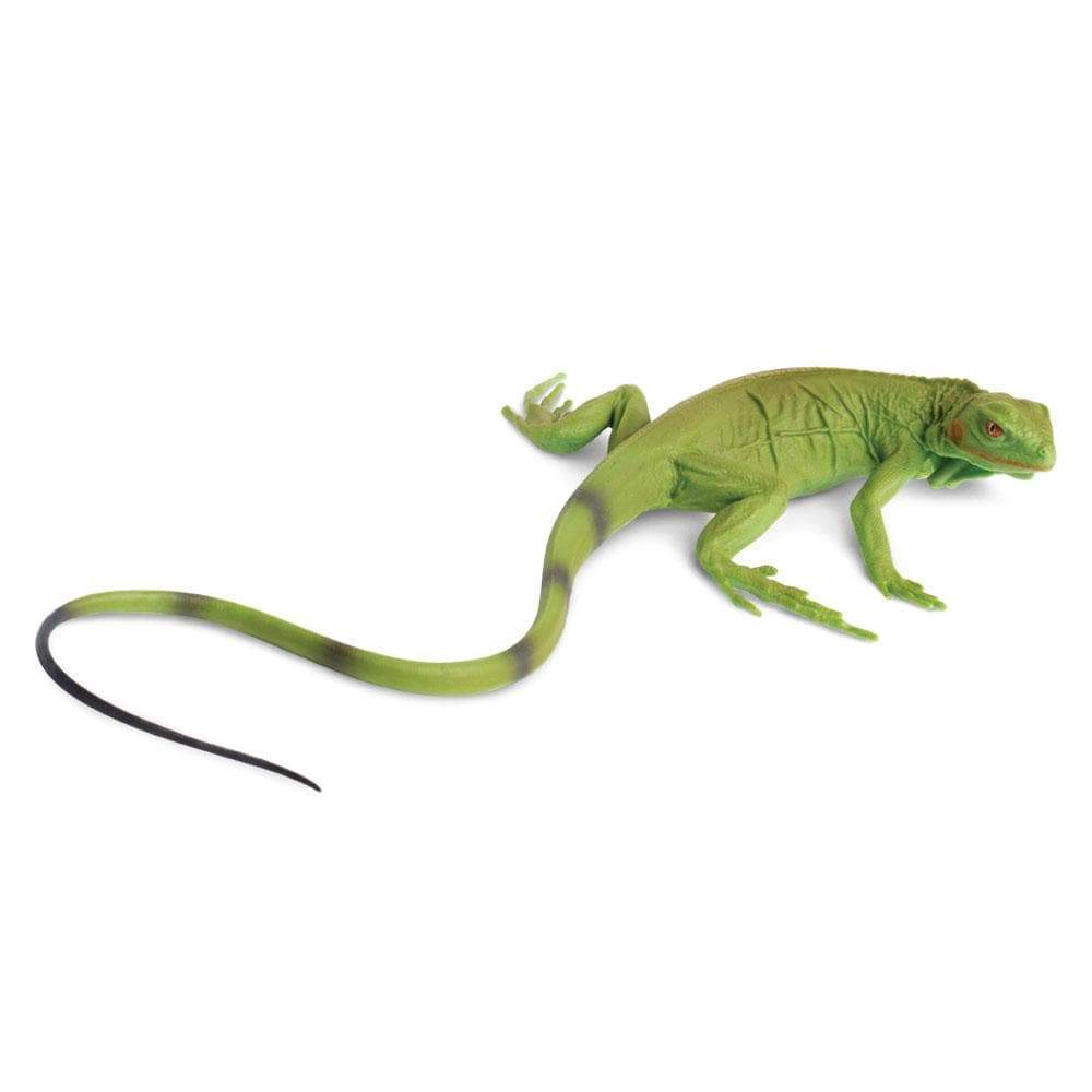 Safari Ltd. - Iguana Baby Kids Toy Figure