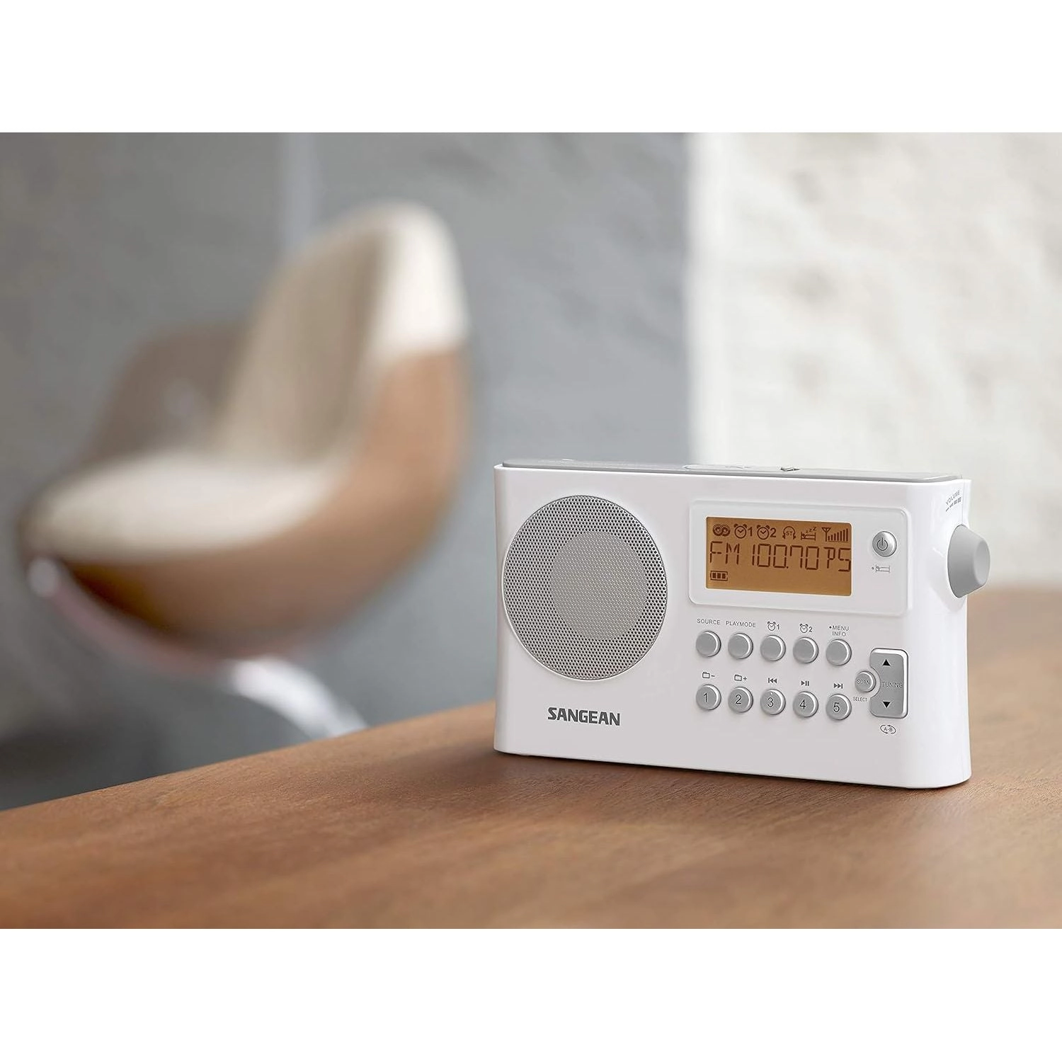 SANGEAN PR-D14 Portable AM/FM-RDS Radio with USB MP3/WMA Playback