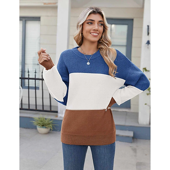 Zeagoo Women's Crewneck Long Sleeve Top