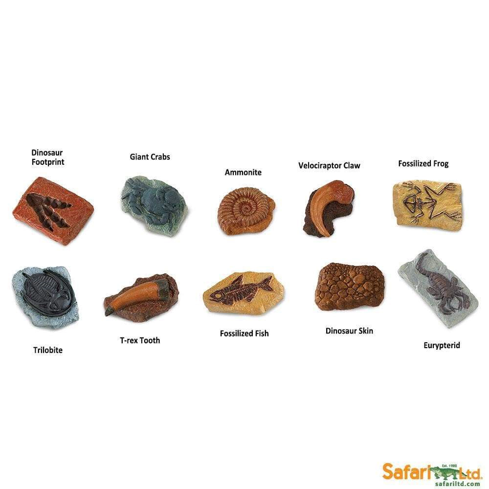 Safari Ltd. - Ancient Fossils TOOB - contains 10 Mini Figurines