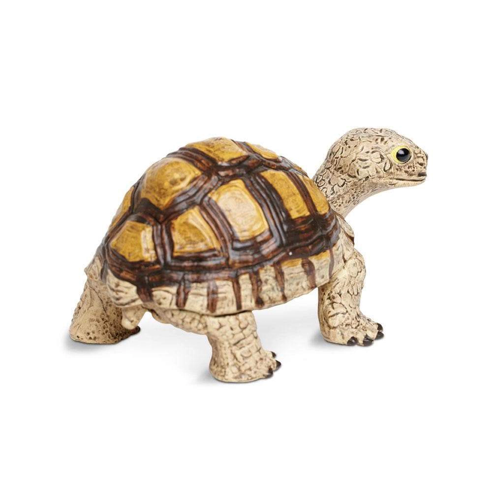 Safari Ltd. - Tortoise Kids Toy Figure