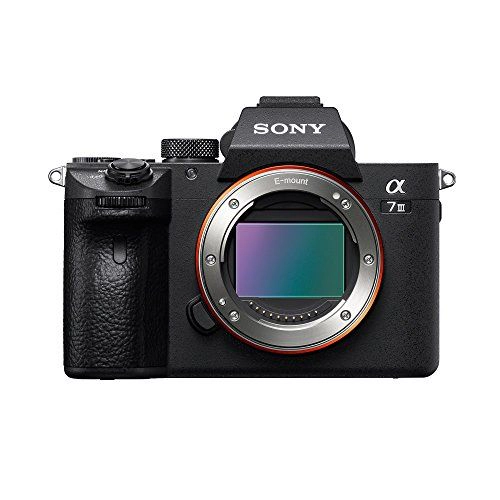Sony Alpha a7 III Mirrorless Digital Camera (Body Only) (International Version)