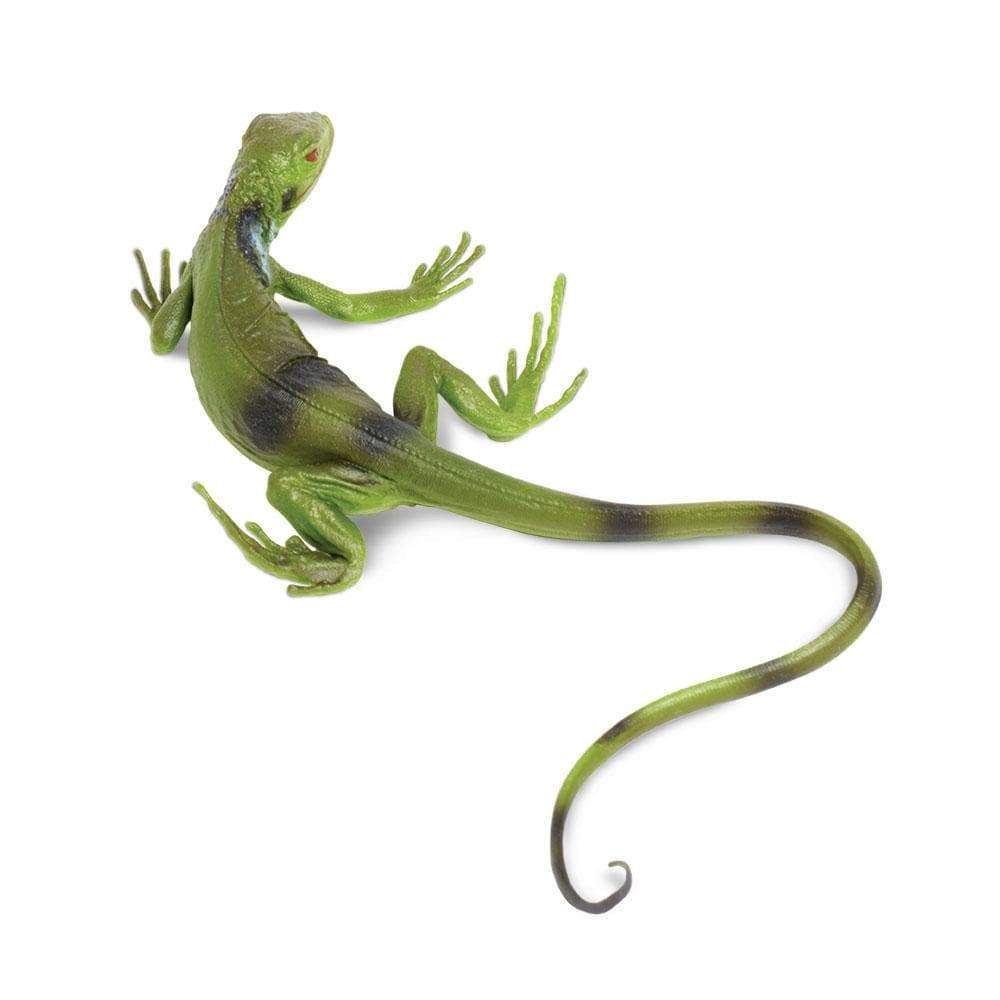Safari Ltd. - Iguana Baby Kids Toy Figure