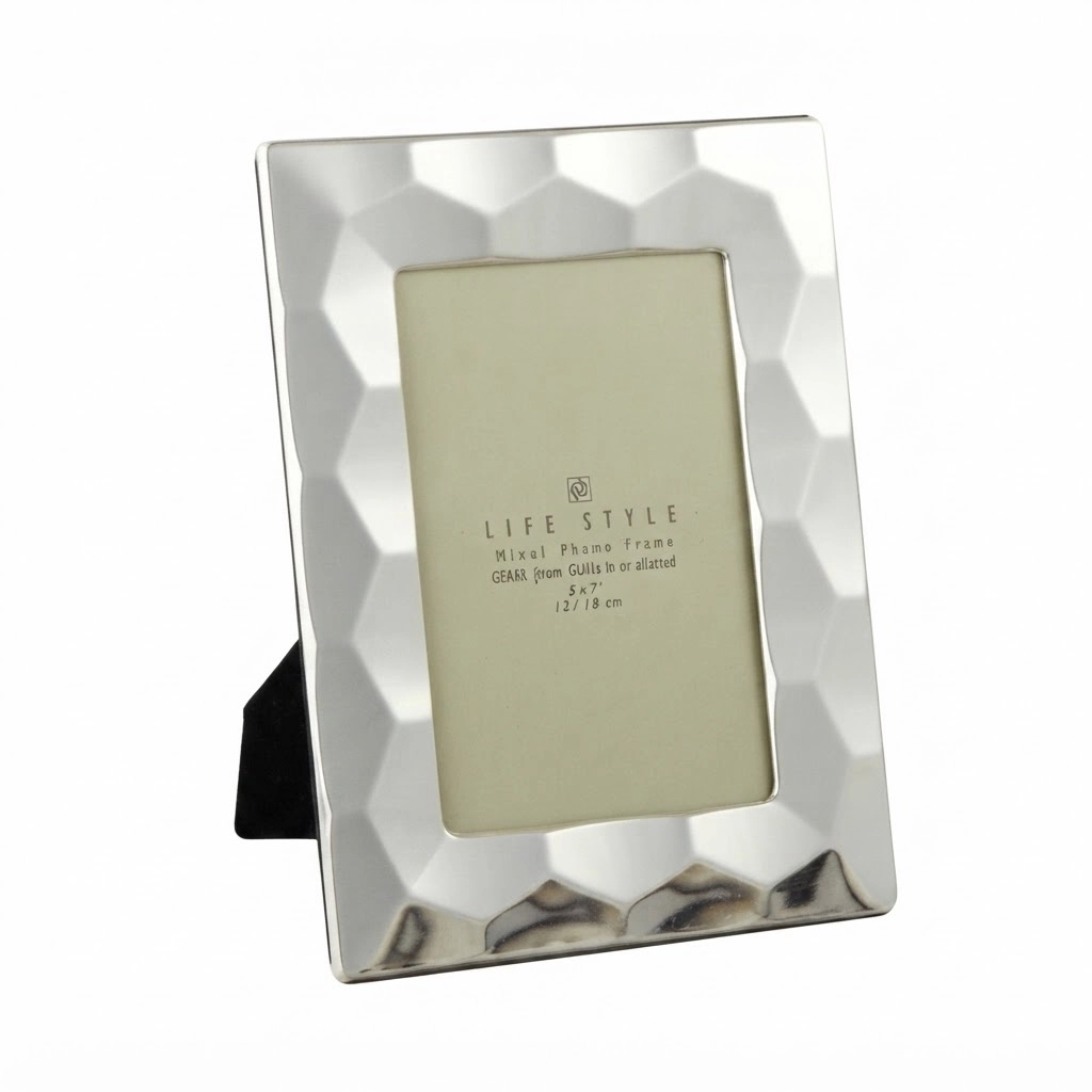 Jiallo Cambridge Placed Silver-Plated 5x7 Frame with Prism Border