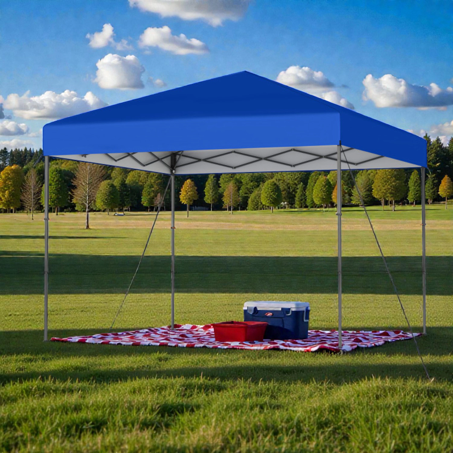 Hivvago Portable Pop-Up Canopy Tent with Carry Bag