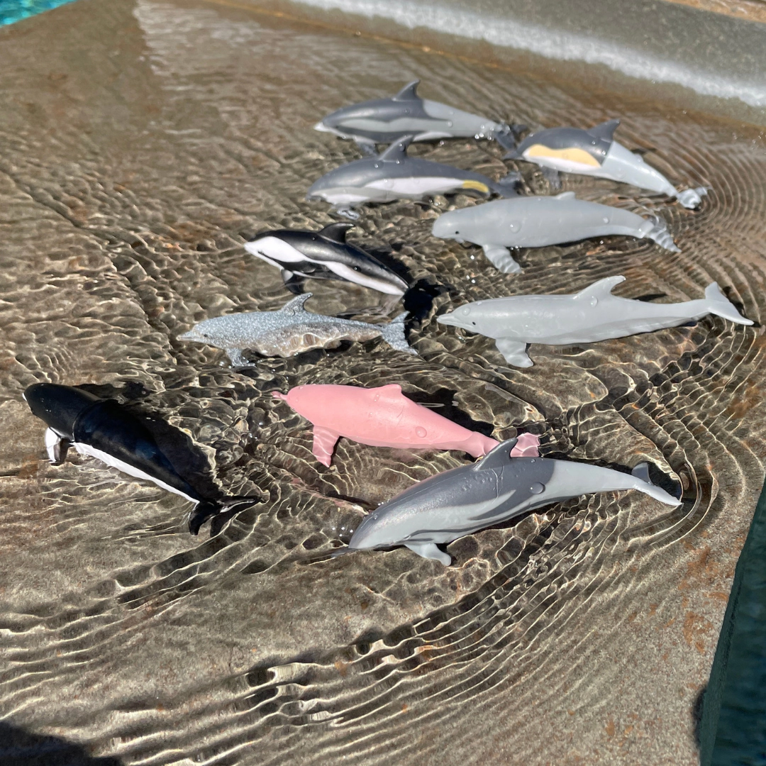 Safari Ltd. - Dolphins TOOB - contains 10 Mini Figurines