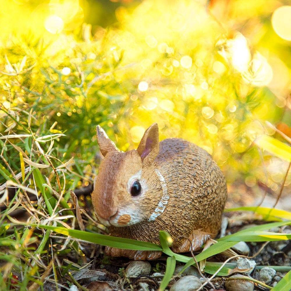 Safari Ltd. - Eastern Cottontail Rabbit Baby Kids Toy Figure