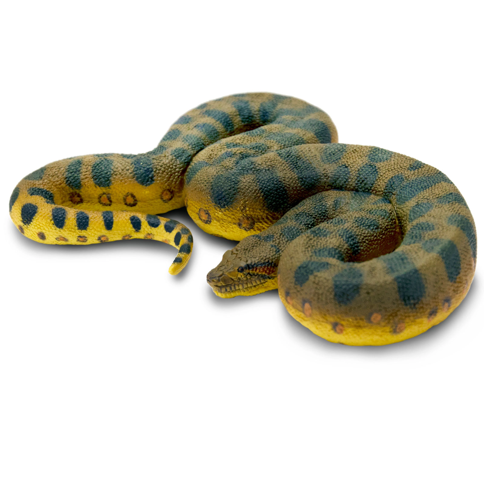 Safari Ltd. - Green Anaconda Kids Toy Figure