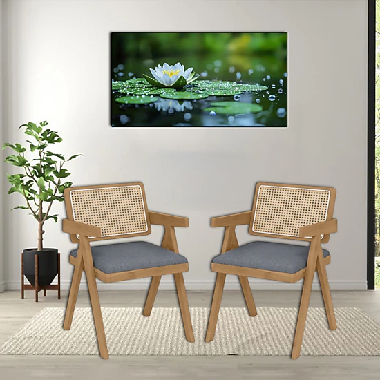 Hivvago Rattan Armchairs with Soft Seat Cushions and Solid Rubber Wood Frame -Set of 2