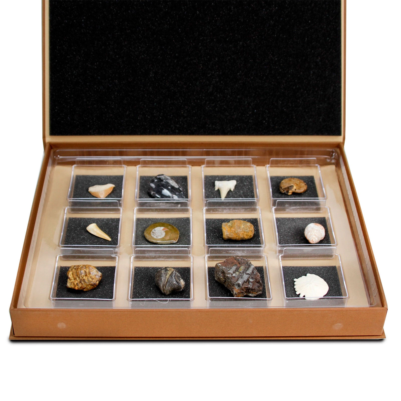Geoworld - The Nature Collection
