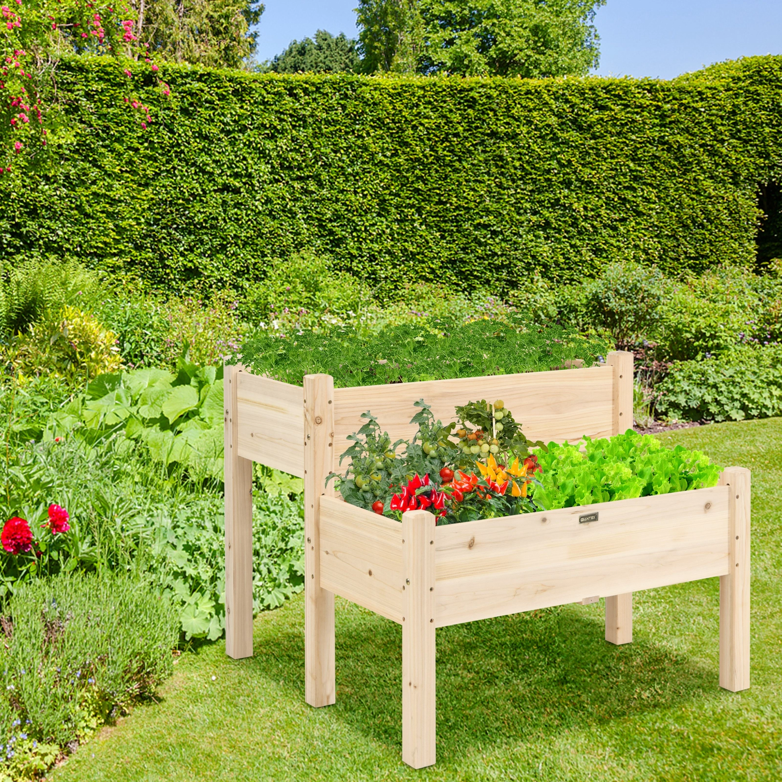 SUGIFT 2-Tier 34-in 110-lb Capacity Fir Wood Elevated Raised Garden Bed with Legs and Drainage Holes